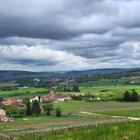 Вилла Le Coq De Champagne Dormans Экстерьер фото