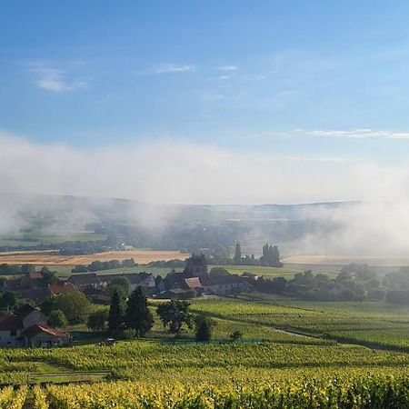 Вилла Le Coq De Champagne Dormans Экстерьер фото