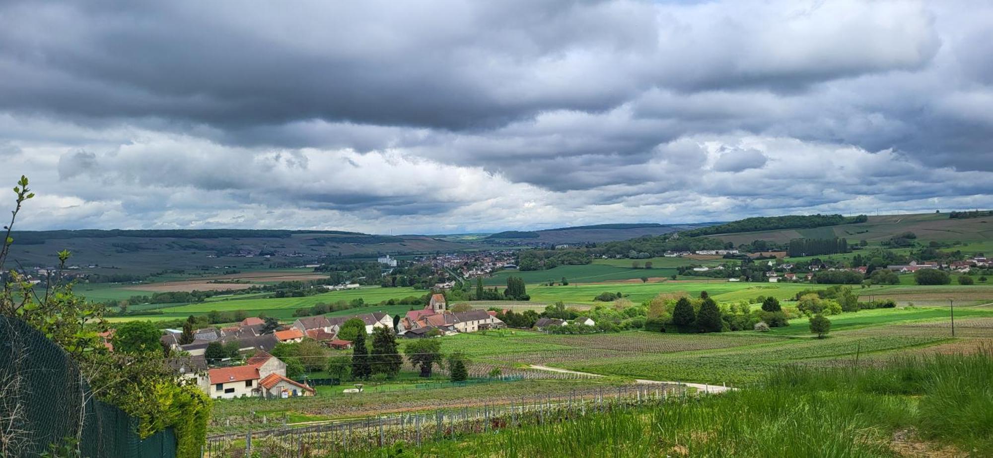 Вилла Le Coq De Champagne Dormans Экстерьер фото