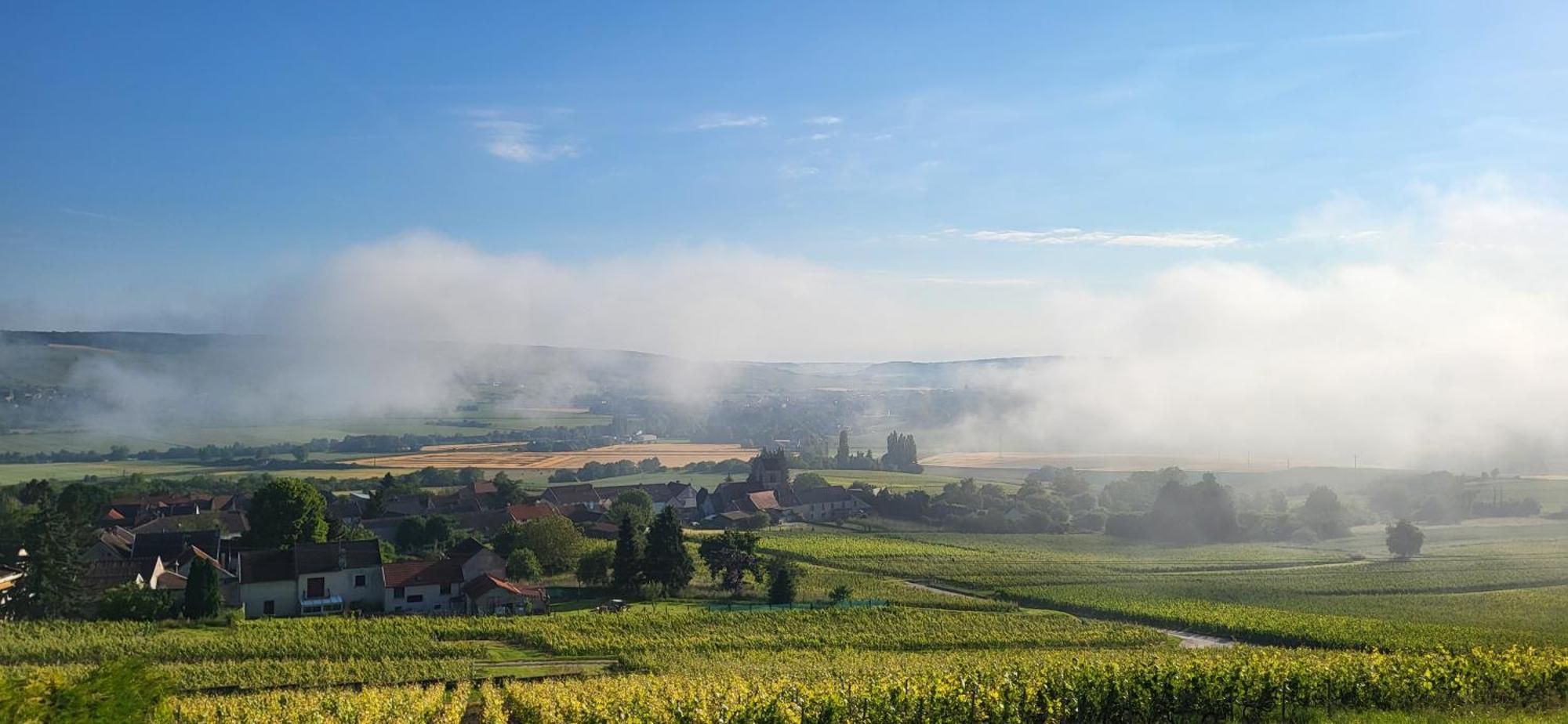 Вилла Le Coq De Champagne Dormans Экстерьер фото
